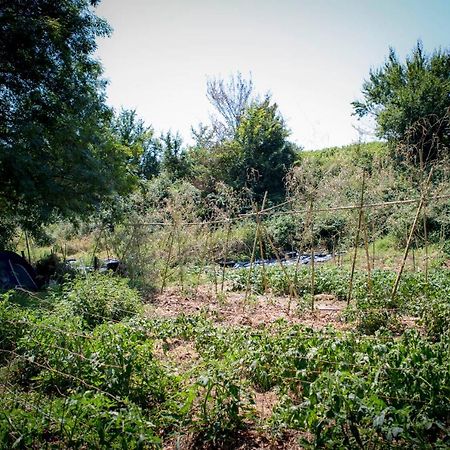 Tente En Permaculture Pirate Creysse  Kültér fotó